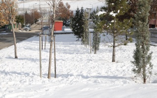 /PARKLAR/BAĞLAR PARKI/1s8a0325.JPG