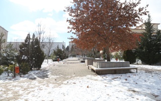 /PARKLAR/TEVHİD PARKI/1s8a0361.JPG
