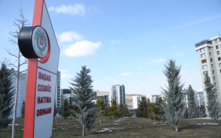 /PARKLAR/BAŞAK CENGİZ HATIRA ORMANI/1s8a2462.JPG