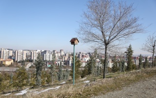 /PARKLAR/15 TEMMUZ ŞEHİTLERİ HATIRA ORMANI/1s8a1689.JPG