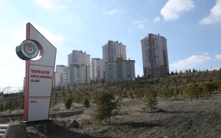 /PARKLAR/YAPRACIK AĞAÇLANDIRMA ALANI/1s8a2533.JPG