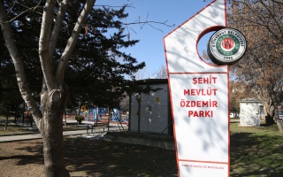 /PARKLAR/ŞEHİT MEVLÜT ÖZDEMİR PARKI/1s8a2025.JPG