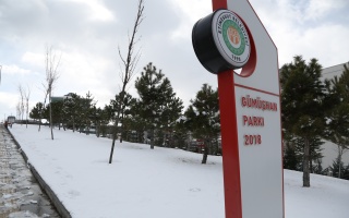 /PARKLAR/GÜMÜŞHAN PARKI/1s8a0251.JPG
