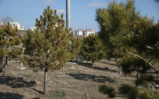 /PARKLAR/ÇAMLIBEL PARKI/1s8a2530.JPG