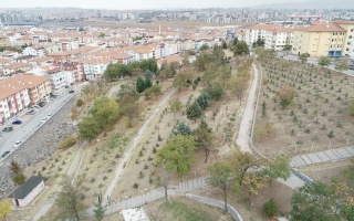 /PARKLAR/ALMİNA AĞAÇLANDIRMA ALANI/dji_0006.jpg