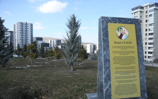 /PARKLAR/BAŞAK CENGİZ HATIRA ORMANI/1s8a2465.JPG