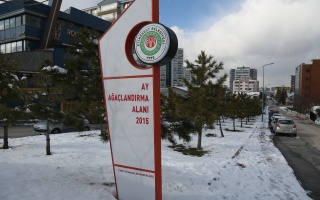 /PARKLAR/AY AĞAÇLANDIRMA ALANI/1s8a0331.JPG