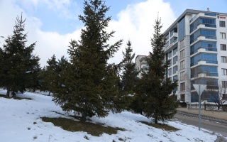 /PARKLAR/YENİ BAHAR PARKI/1s8a0291.JPG