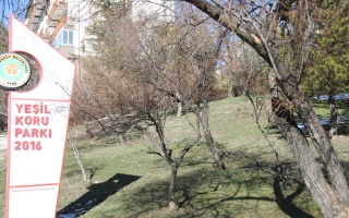 /PARKLAR/YEŞİL KORU PARKI/1s8a1831.JPG