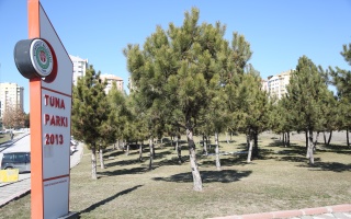 /PARKLAR/TUNA PARKI/1s8a1649.JPG