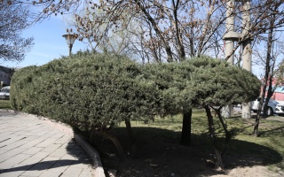 /PARKLAR/ESNAF SANATKARLAR PARKI/1s8a9178.JPG