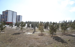 /PARKLAR/ADLİYE HATIRA ORMANI/1s8a2068.JPG