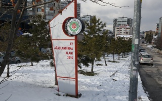 /PARKLAR/AY AĞAÇLANDIRMA ALANI/1s8a0329.JPG