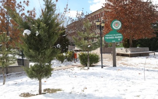 /PARKLAR/TEVHİD PARKI/1s8a0355.JPG
