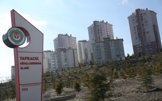 /PARKLAR/YAPRACIK AĞAÇLANDIRMA ALANI/1s8a2539.JPG