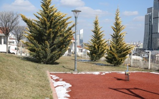 /PARKLAR/ÖMER SEYFETTİN PARKI/1s8a2430.JPG