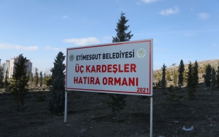 /PARKLAR/ÜÇ KARDEŞLER HATIRA ORMANI/1s8a2608.JPG