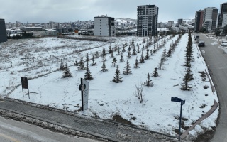 /PARKLAR/ÜÇ ÖĞRETMENLER PARKI/dji_0953.JPG
