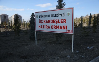 /PARKLAR/ÜÇ KARDEŞLER HATIRA ORMANI/1s8a2614.JPG