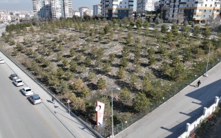 /PARKLAR/FIRAT YILMAZ ÇAKIROĞLU HATIRA ORMANI/dji_0735.JPG