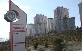 /PARKLAR/YAPRACIK AĞAÇLANDIRMA ALANI/1s8a2536.JPG
