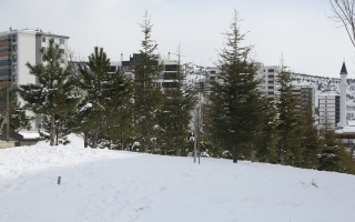/PARKLAR/ŞİFA PARKI/1s8a0160.JPG
