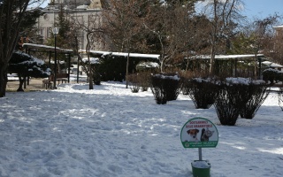 /PARKLAR/YILDIZ PARKI/1s8a0372.JPG