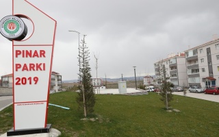 /PARKLAR/PINAR PARKI/hb4a9792.jpg