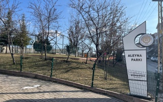 /PARKLAR/ALEYNA PARKI/whatsapp-image-2025-03-17-at-105300-1.jpeg